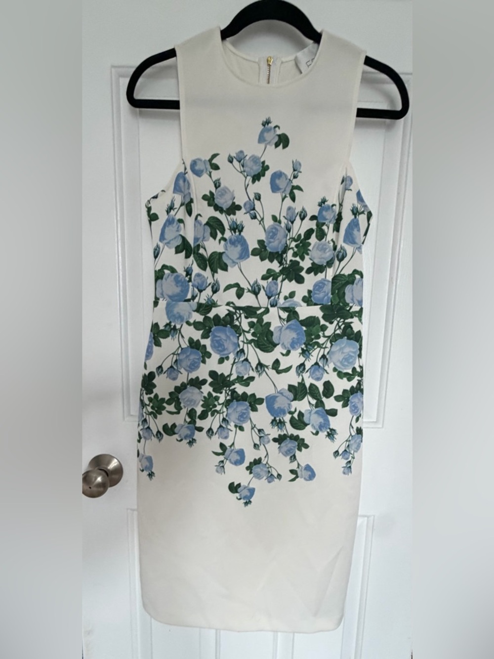 ERIN Erin Fetherston Blue Floral Sheath Dress Ivory Sleeveless Size 4